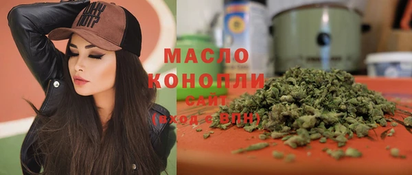 гидра Горняк