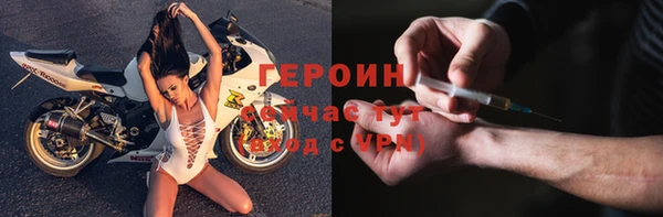 гидра Горняк