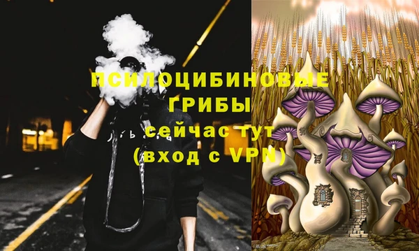 дурь Пролетарск