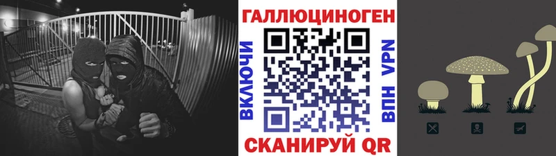 Псилоцибиновые грибы GOLDEN TEACHER  Гусев 